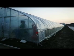 Nhà kính đường ống poly