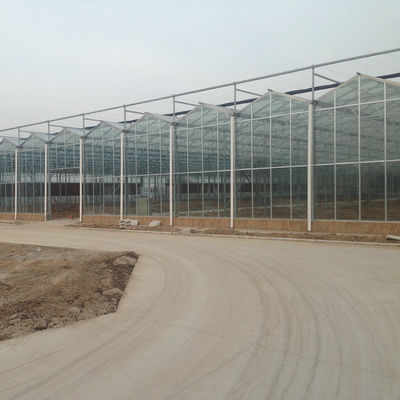 24 X 24 24 X 18 20x30 Venlo Custom Glass Greenhouse Cover Sides Polycarbonate Sheet Roof Covering For Tomatoes