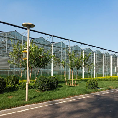 24 X 24 24 X 18 20x30 Venlo Custom Glass Greenhouse Cover Sides Polycarbonate Sheet Roof Covering For Tomatoes