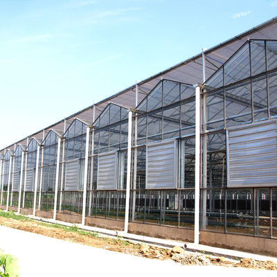 24 X 24 24 X 18 20x30 Venlo Custom Glass Greenhouse Cover Sides Polycarbonate Sheet Roof Covering For Tomatoes
