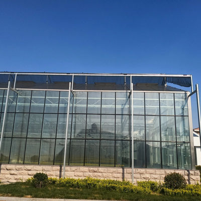 24 X 24 24 X 18 20x30 Venlo Custom Glass Greenhouse Cover Sides Polycarbonate Sheet Roof Covering For Tomatoes
