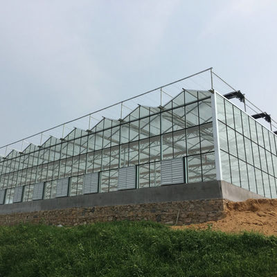 24 X 24 24 X 18 20x30 Venlo Custom Glass Greenhouse Cover Sides Polycarbonate Sheet Roof Covering For Tomatoes