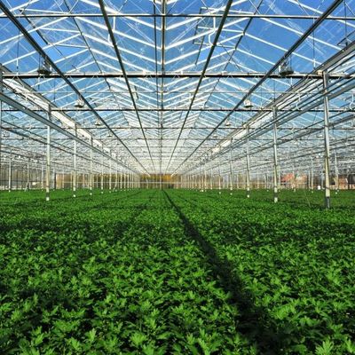 24 X 24 24 X 18 20x30 Venlo Custom Glass Greenhouse Cover Sides Polycarbonate Sheet Roof Covering For Tomatoes