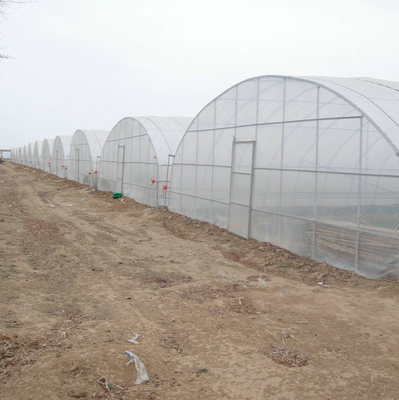 9x30m Plastic Tunnel Greenhouse Covered Plastic Film For Vegetable Growing