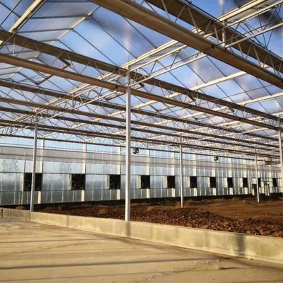 6x12 6x10 6x8 Large Venlo Type Polycarbonate Greenhouse Design With Galvanized Steel Structure