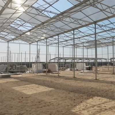 6x12 6x10 6x8 Large Venlo Type Polycarbonate Greenhouse Design With Galvanized Steel Structure