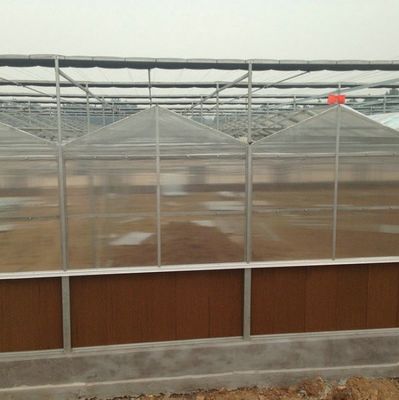 6x12 6x10 6x8 Large Venlo Type Polycarbonate Greenhouse Design With Galvanized Steel Structure