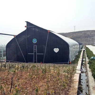 Indoor Hydroponic Tropical Area Polytunnel  Sawtootch Greenhouse With Cooling Irrigation System