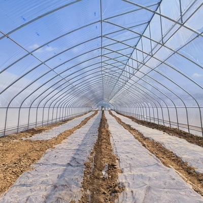 Indoor Hydroponic Tropical Area Polytunnel  Sawtootch Greenhouse With Cooling Irrigation System