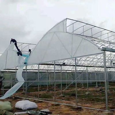 40 Mesh Insect Net Covered Multi Span Sawtooth Type Greenhouse  For Rose In Tropical Area