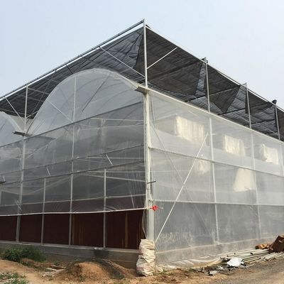 9m 10m Multi Span Plastic Film Greenhouse For Sale With Inner Shading System Outer Shading System