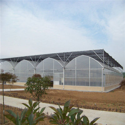 9m 10m Multi Span Plastic Film Greenhouse For Sale With Inner Shading System Outer Shading System