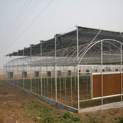9m 10m Multi Span Plastic Film Greenhouse For Sale With Inner Shading System Outer Shading System