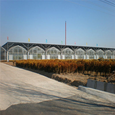 9m 10m Multi Span Plastic Film Greenhouse For Sale With Inner Shading System Outer Shading System