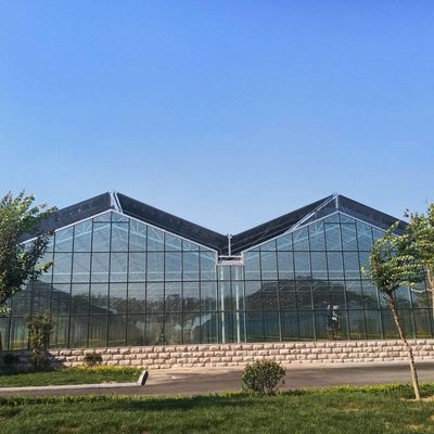 10x8 20 X 40 Big Span Venlo Multi Span Glass Greenhouse Growing Vegetable Show For Exhibition Hall