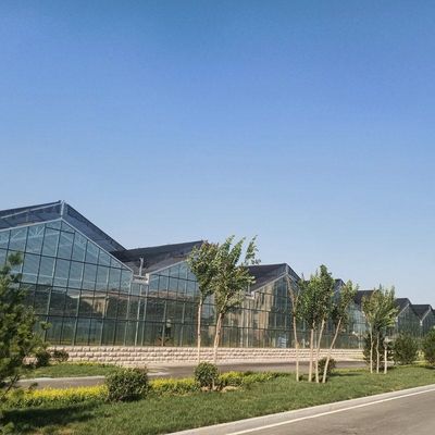 10x8 20 X 40 Big Span Venlo Multi Span Glass Greenhouse Growing Vegetable Show For Exhibition Hall