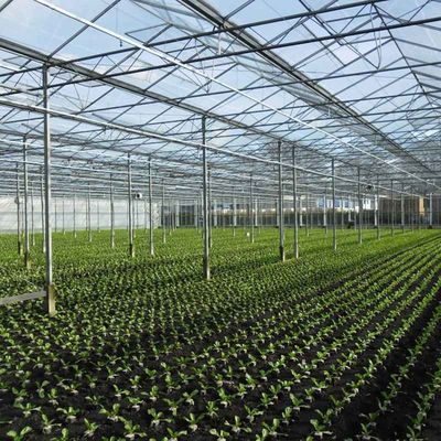 9.6m 10.8m 12m span venlo prefab glass greenhouse indoor for vegetable hydroponic