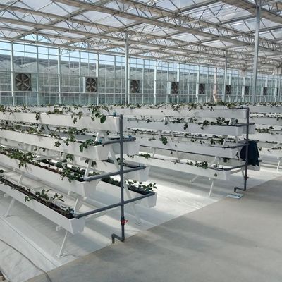 9.6m 10.8m 12m span venlo prefab glass greenhouse indoor for vegetable hydroponic