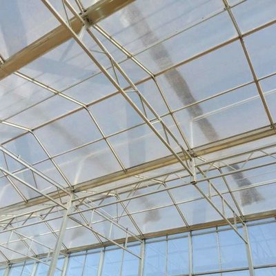 6x12 6x10 6x8 Large Venlo Type Polycarbonate Greenhouse Design With Galvanized Steel Structure