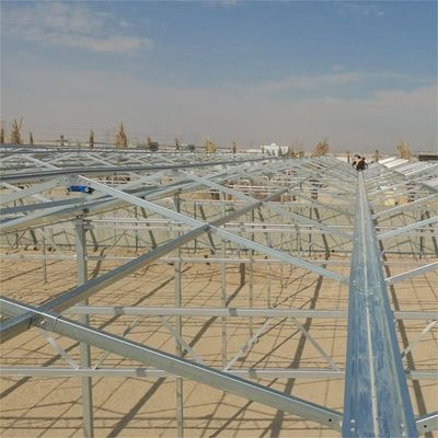 6x12 6x10 6x8 Large Venlo Type Polycarbonate Greenhouse Design With Galvanized Steel Structure