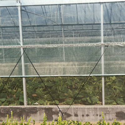8m 9m 10m Span Multi Span Tomato Hydroponic Plastic Film Greenhouse Galvanized Steel Structure