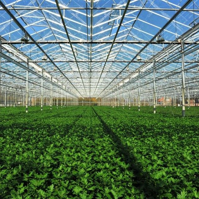 24 X 24 24 X 18 20x30 Venlo Custom Glass Greenhouse Cover Sides Polycarbonate Sheet Roof Covering For Tomatoes