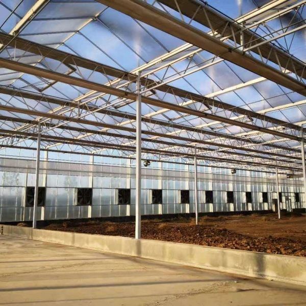 6x12 6x10 6x8 Large Venlo Type Polycarbonate Greenhouse Design With Galvanized Steel Structure